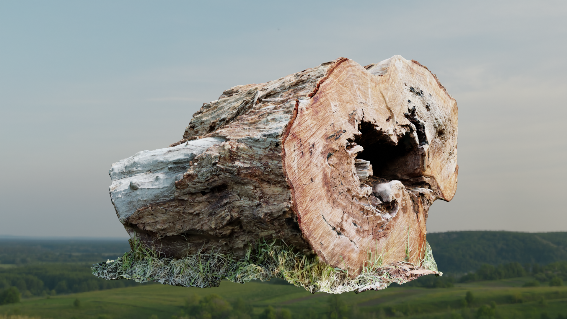 Red Gum Log preview image 1